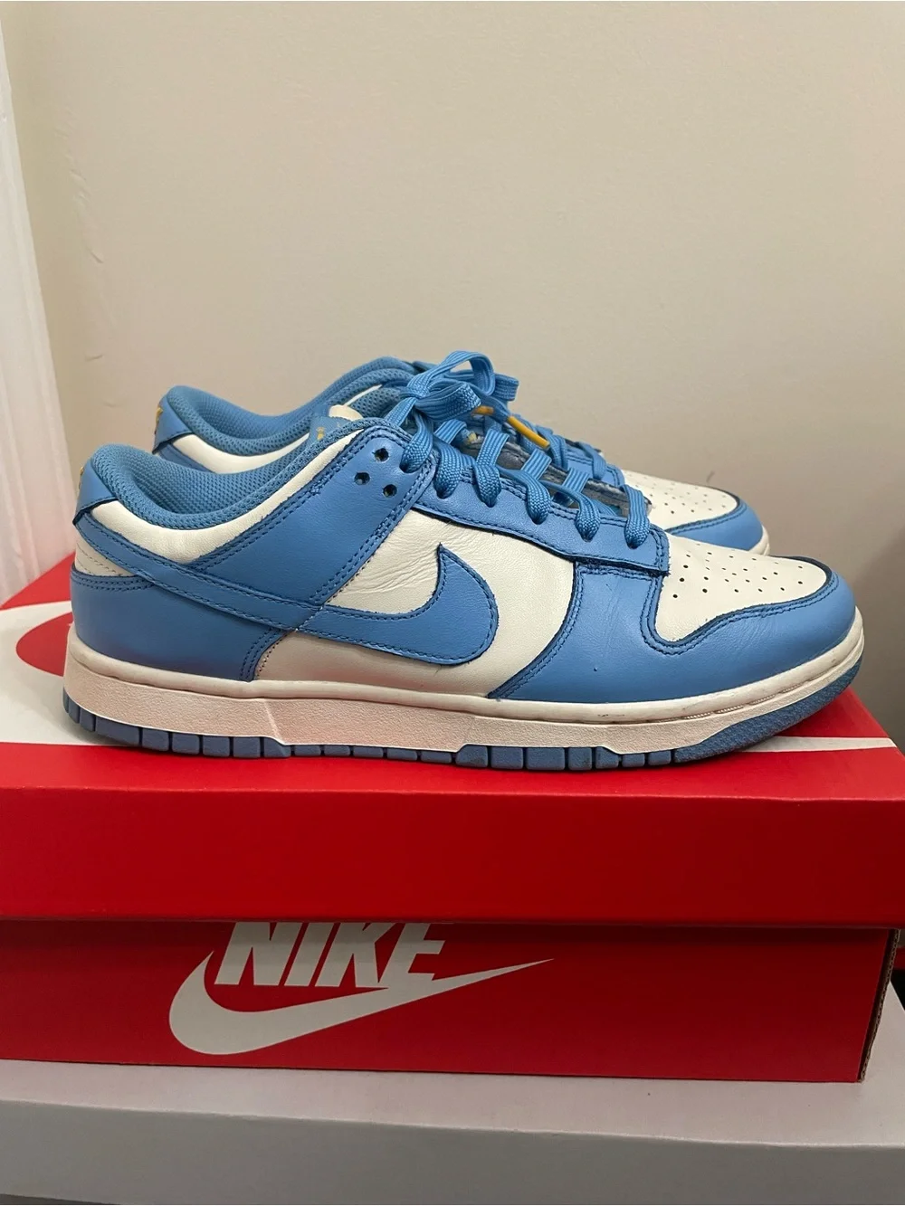 Nike Dunk Low “Coast”